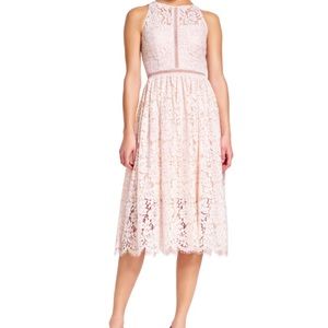 Adrianna Papell pink lace dress